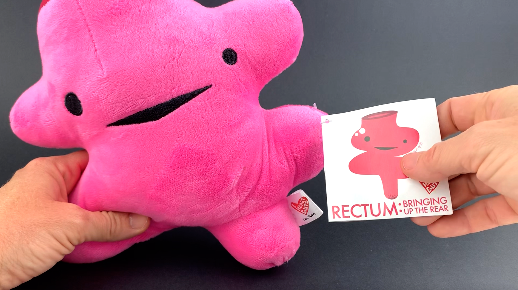 Amazon.com: I Heart Guts Rectum Plush - Bringing Up The Rear - 10